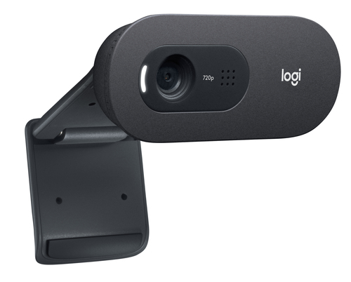 Logitech C505 webcam - Zwart