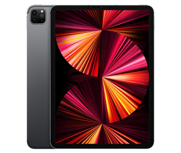 iPad Pro 11 inch (2021) - 256 GB - WiFi + Cellular - Grijs