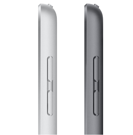 iPad (2021) - 256 GB - WiFi - Spacegrijs