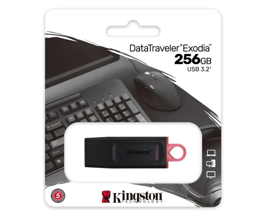 Kingston 256 GB DataTraveler Exodia