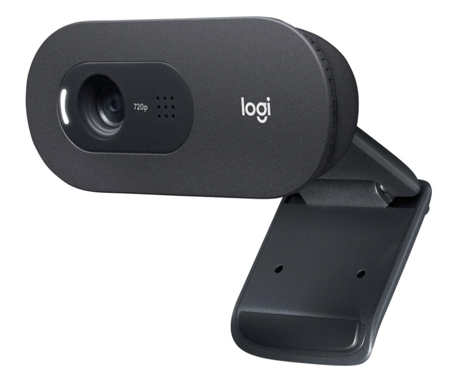 Logitech C505e webcam