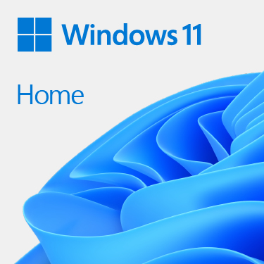 Microsoft Windows 11 Home - Engels - DVD