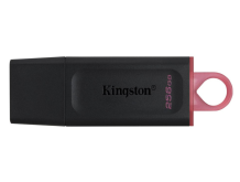 Kingston 256 GB DataTraveler Exodia