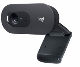 Logitech C505 webcam - Zwart