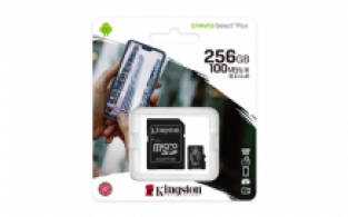 Kingston Canvas Select Plus MicroSDXC - 256 GB