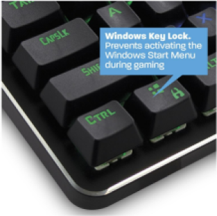 Ewent PL3350 Gaming Mechanical RGB
