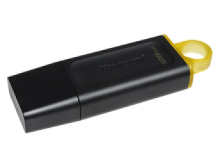 Kingston 128 GB DataTraveler Exodia 