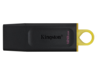 Kingston 128 GB DataTraveler Exodia 