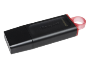 Kingston 256 GB DataTraveler Exodia