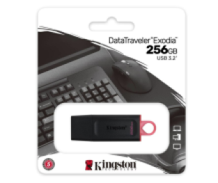 Kingston 256 GB DataTraveler Exodia