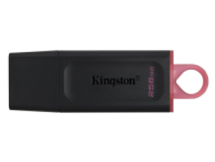 Kingston 256 GB DataTraveler Exodia