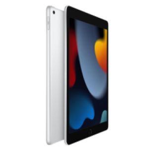 Apple iPad (2021) - 256 GB - WiFi - Zilver