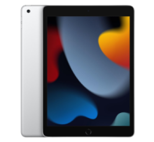 Apple iPad (2021) - 256 GB - WiFi - Zilver