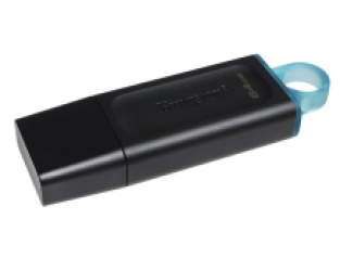 Kingston 64 GB DataTraveler Exodia