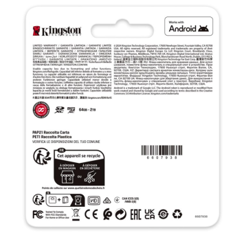 Kingston Canvas Select Plus MicroSDXC - 256 GB