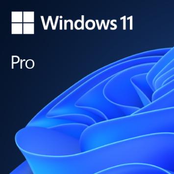 Microsoft Windows 11 Pro - Engels - DVD